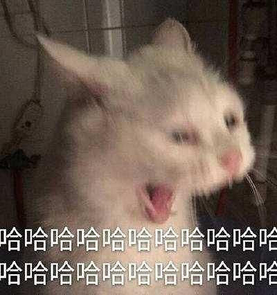 GTA6泄露事件始末 比遊戲還精彩