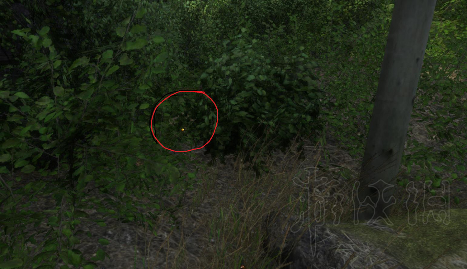 《天國降臨: 救贖》隱藏地點位置圖文分享 隱藏地點在哪？