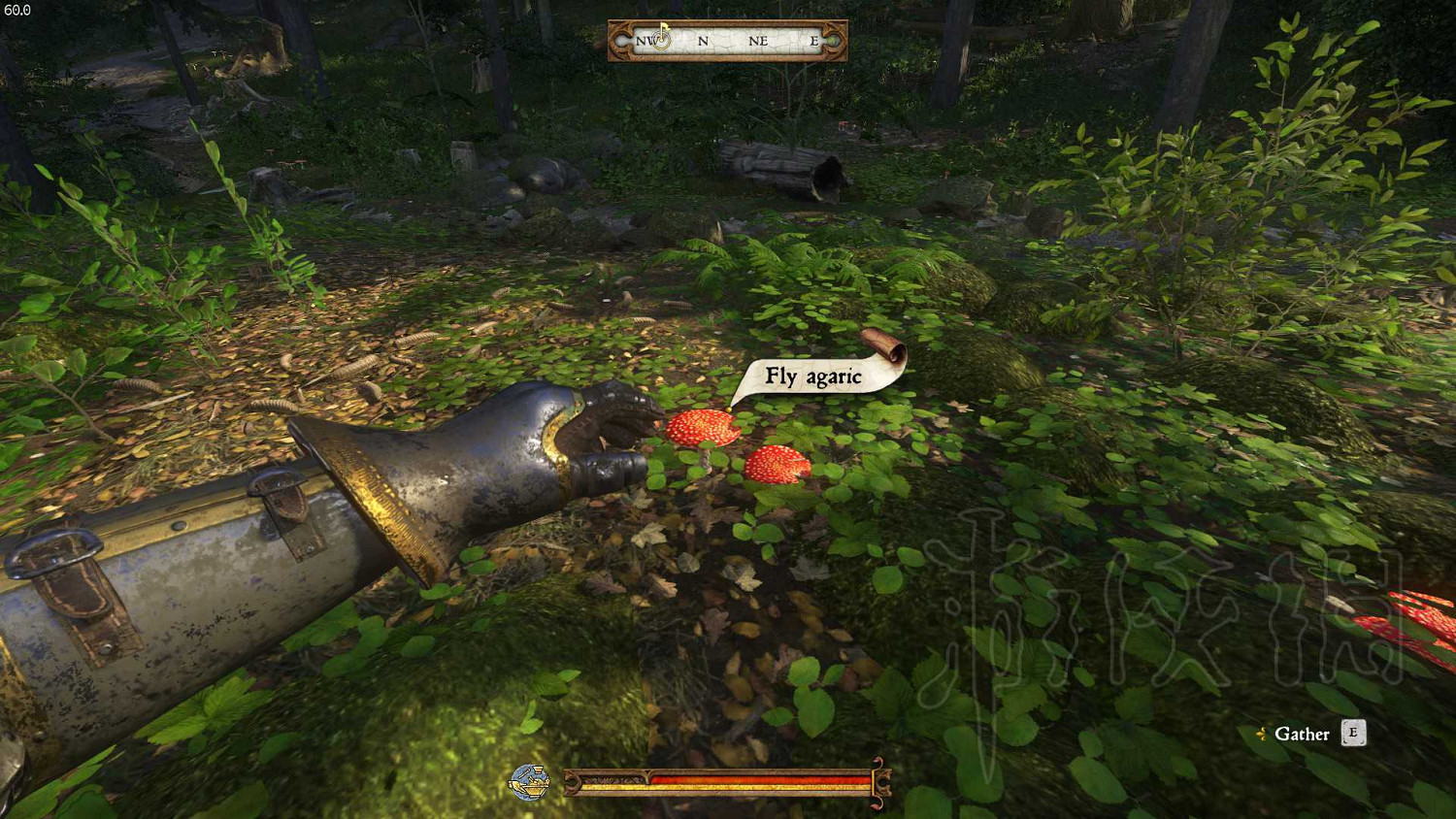 《天國降臨: 救贖》草藥分布位置一覽 《天國降臨: 救贖》草藥分布位置一覽