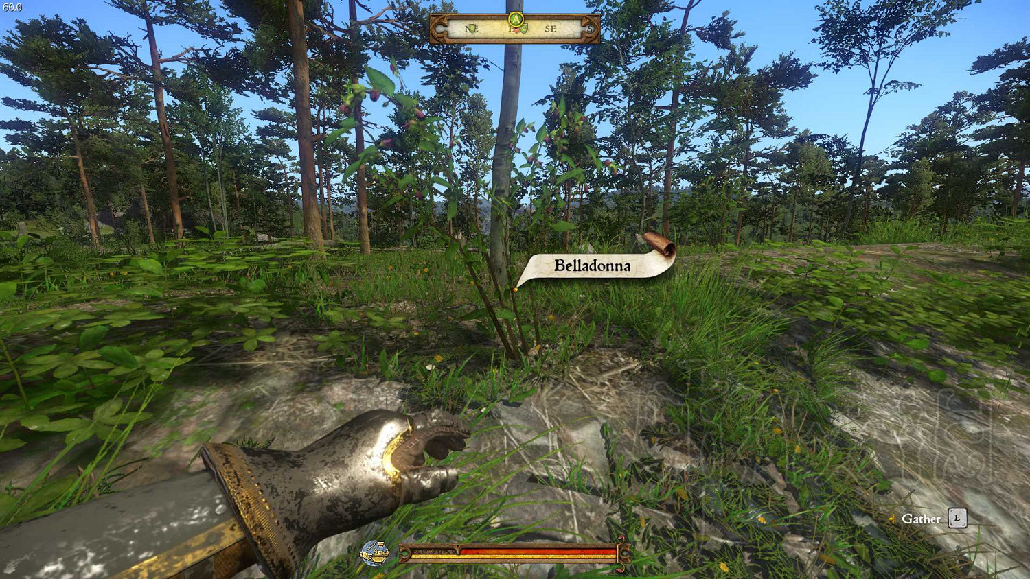 《天國降臨: 救贖》草藥分布位置一覽 《天國降臨: 救贖》草藥分布位置一覽