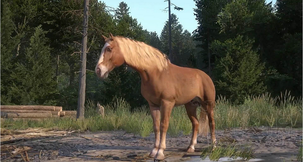 《天國降臨: 救贖》馬沒了怎麽找回?馬消失解決方法介紹 《天國降臨: 救贖》馬沒了怎麽找回?馬消失解決方法介紹