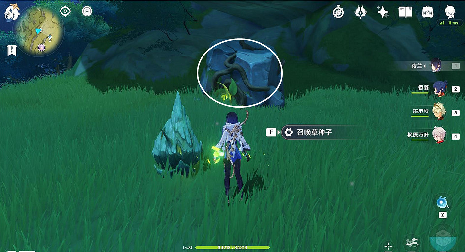 《原神》無鬱稠林華麗寶箱怎麽拿?無鬱稠林華麗寶箱獲得方法介紹 《原神》無鬱稠林華麗寶箱怎麽拿?無鬱稠林華麗寶箱獲得方法介紹