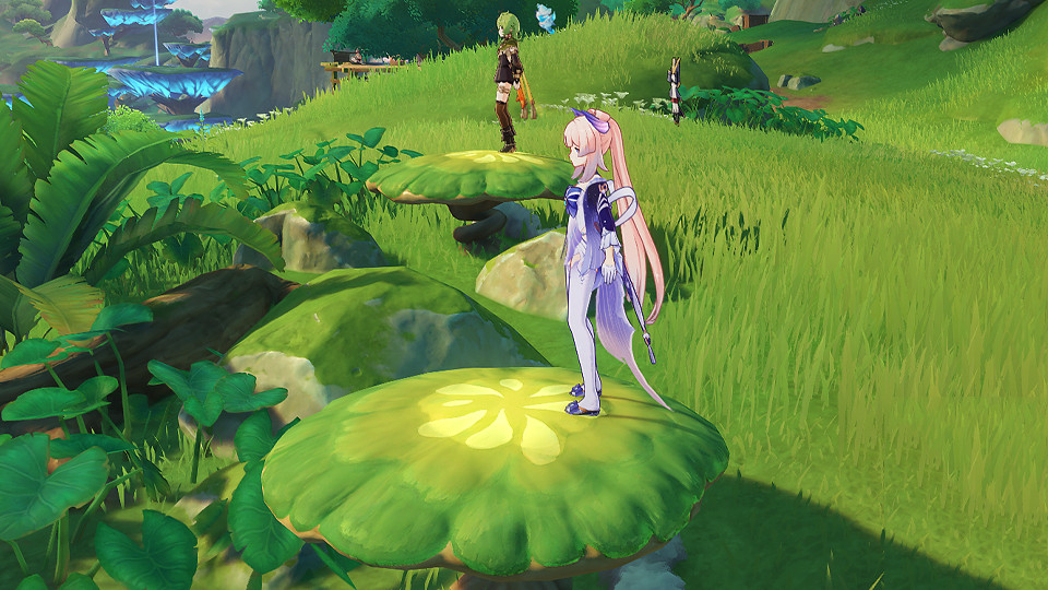 《原神》須彌雙人寶箱位置在哪?須彌雙人寶箱位置分享 《原神》須彌雙人寶箱位置在哪?須彌雙人寶箱位置分享