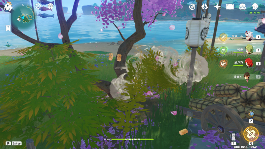 《原神》夢見木採集點在哪?夢見木最快採集位置推薦 《原神》夢見木採集點在哪?夢見木最快採集位置推薦