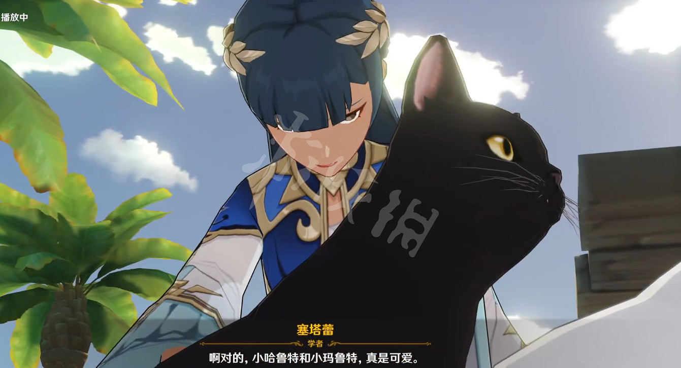 《原神》兩隻貓叫什麽名字?塞塔蕾的貓名字介紹 《原神》兩隻貓叫什麽名字?塞塔蕾的貓名字介紹