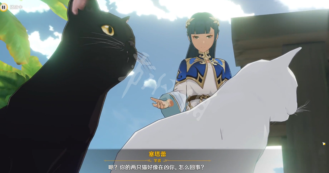 《原神》兩隻貓叫什麽名字?塞塔蕾的貓名字介紹 《原神》兩隻貓叫什麽名字?塞塔蕾的貓名字介紹