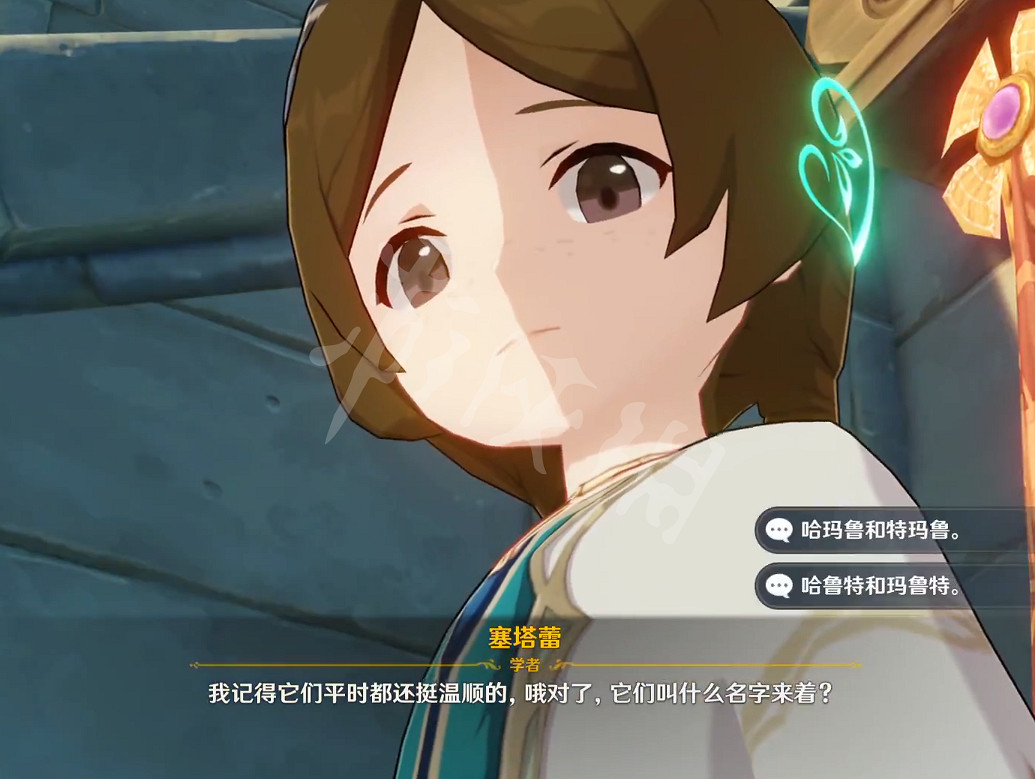 《原神》塞塔蕾問題答案是什麽？塞塔蕾問題答案分享