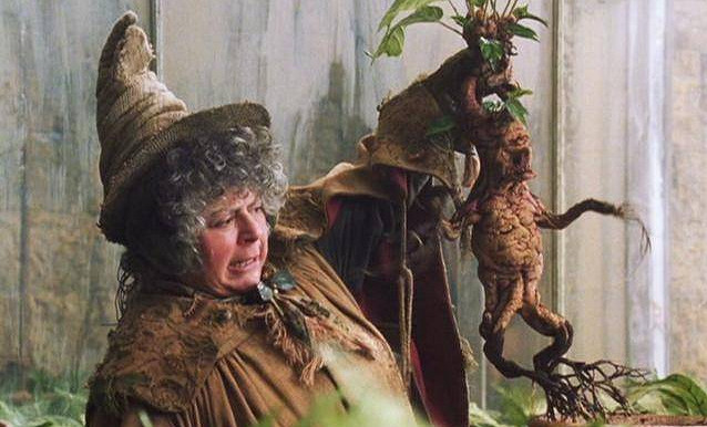 當我們在討論古堡時，我們在討論什麽？