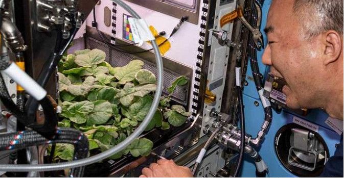 日出而作日落而息,種田遊戲為什麽老能戳中國人玩家XP?