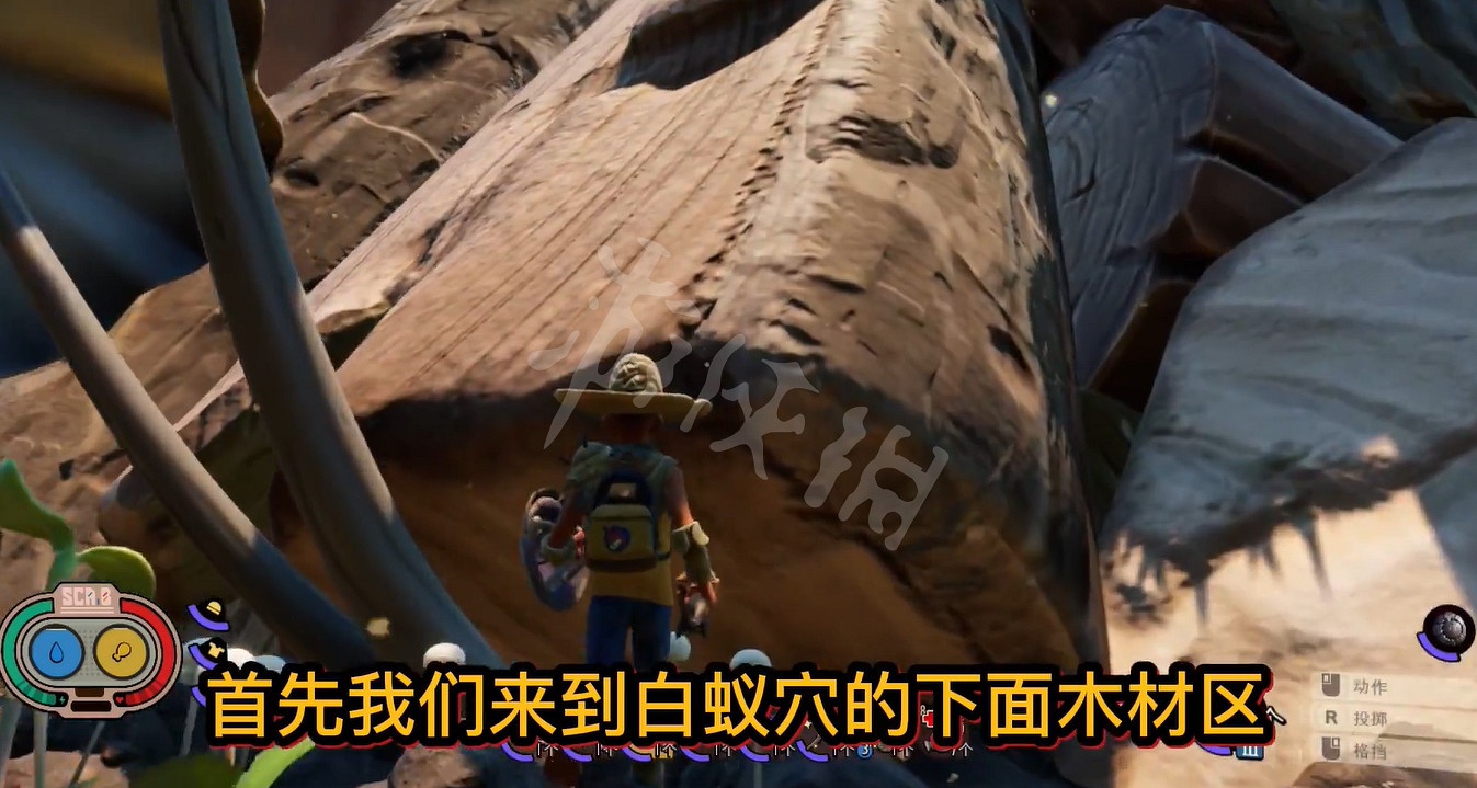 《微小世界生存戰》綠蝽在哪裡？綠蝽位置介紹