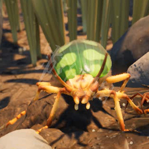 《微小世界生存戰》蟲類有哪些？Grounded全蟲類圖鑒及特點匯總