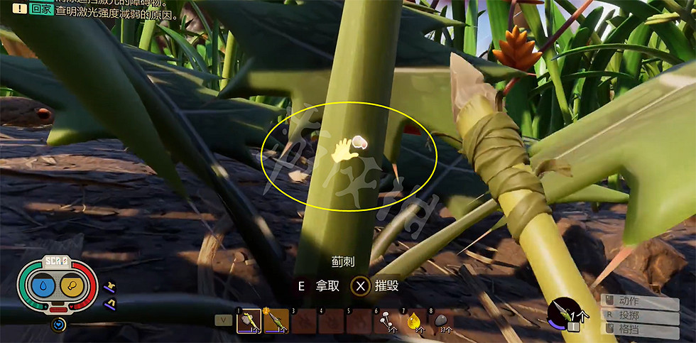 《微小世界生存戰》薊刺怎麽獲得?薊刺獲得方法介紹 《微小世界生存戰》薊刺怎麽獲得?薊刺獲得方法介紹