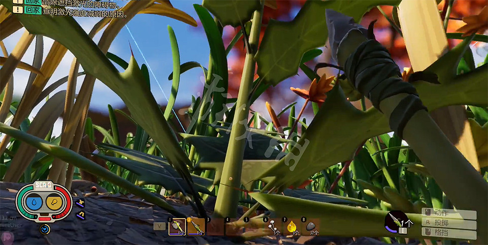 《微小世界生存戰》薊刺怎麽獲得?薊刺獲得方法介紹 《微小世界生存戰》薊刺怎麽獲得?薊刺獲得方法介紹