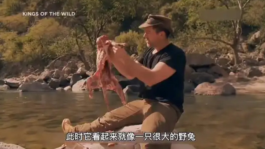 看高配版荒野求生,爽到停不下來怎麽辦 看高配版荒野求生,爽到停不下來怎麽辦