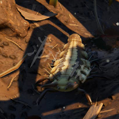 《微小世界生存戰》圖文攻略:全流程攻略+全物品製作+全武器圖鑒+全昆蟲圖鑒+全材料收集+全地標解鎖+生存戰鬥技巧 《微小世界生存戰》圖文攻略:全流程攻略+全物品製作+全武器圖鑒+全昆蟲圖鑒+全材料收集+全地標解鎖+生存戰鬥技巧