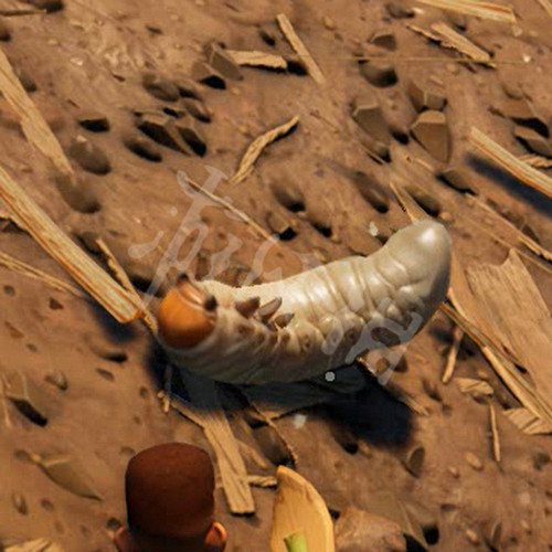 《微小世界生存戰》蟲類有哪些？Grounded全蟲類圖鑒及特點匯總