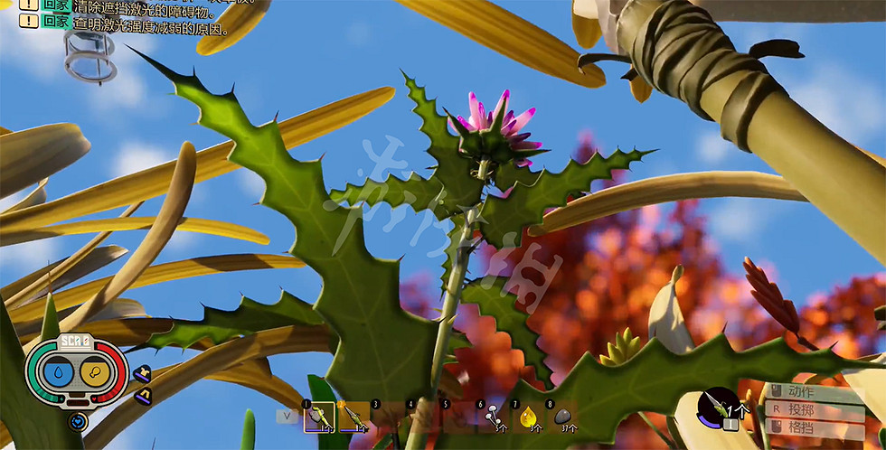 《微小世界生存戰》薊刺怎麽獲得?薊刺獲得方法介紹 《微小世界生存戰》薊刺怎麽獲得?薊刺獲得方法介紹