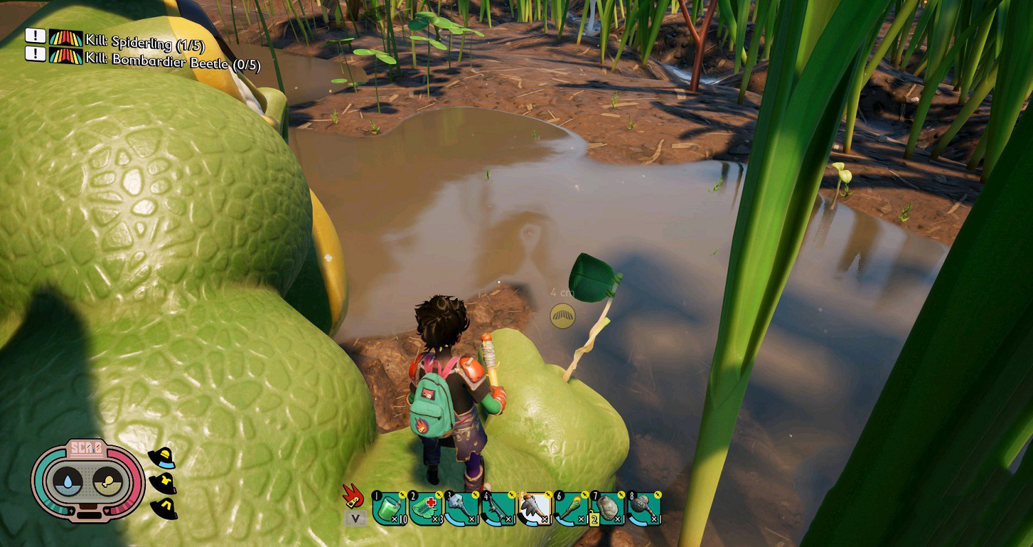 《微小世界生存戰》沼澤蟾蜍在哪 grounded沼澤蟾蜍位置分享