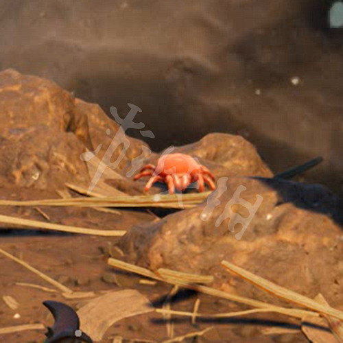 《微小世界生存戰》蟲類有哪些?Grounded全蟲類圖鑒及特點匯總 《微小世界生存戰》蟲類有哪些?Grounded全蟲類圖鑒及特點匯總