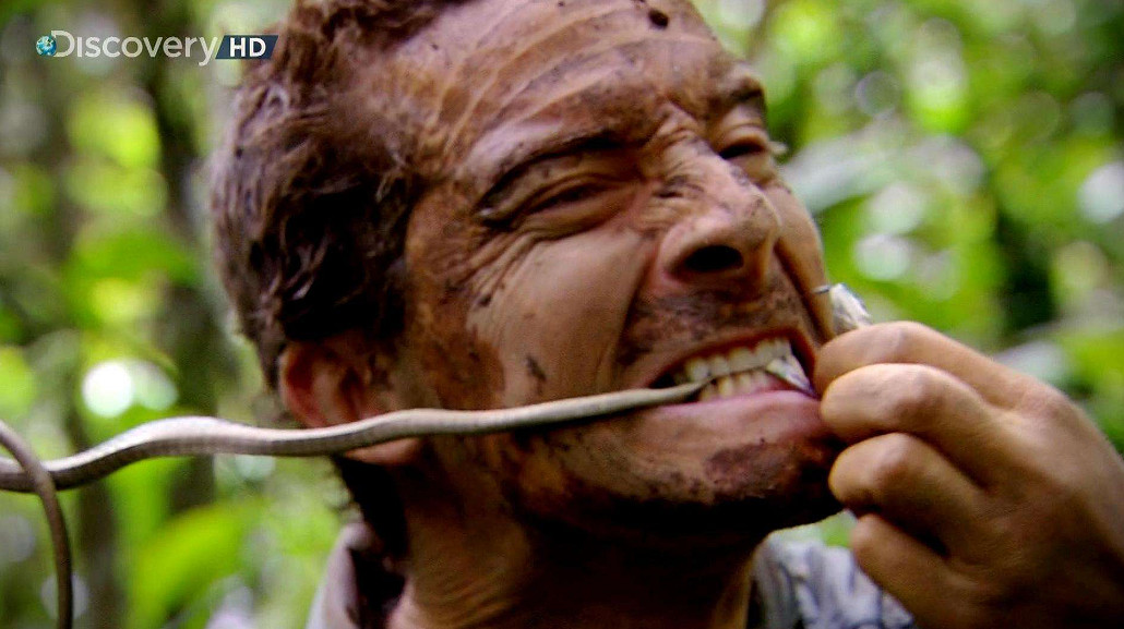 看高配版荒野求生,爽到停不下來怎麽辦 看高配版荒野求生,爽到停不下來怎麽辦