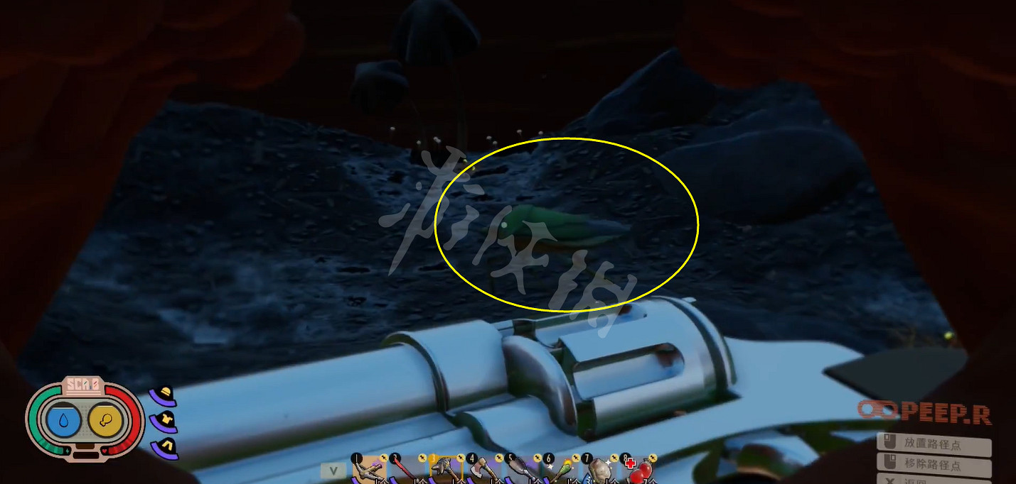 《微小世界生存戰》綠蝽在哪裡？綠蝽位置介紹