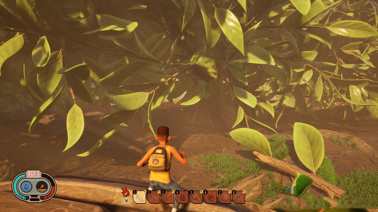 《微小世界生存戰》藍莓樹在哪 grounded藍莓樹位置分享 《微小世界生存戰》藍莓樹在哪 grounded藍莓樹位置分享