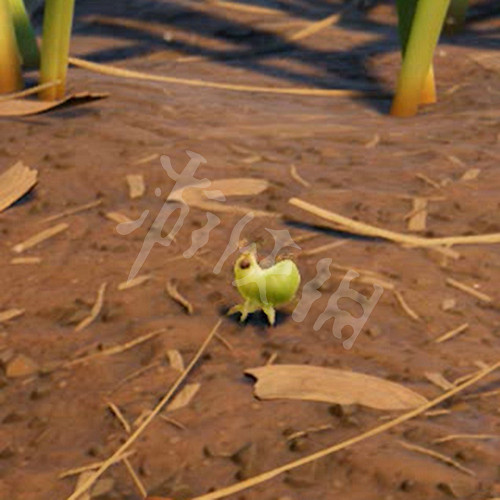 《微小世界生存戰》圖文攻略:全流程攻略+全物品製作+全武器圖鑒+全昆蟲圖鑒+全材料收集+全地標解鎖+生存戰鬥技巧 《微小世界生存戰》圖文攻略:全流程攻略+全物品製作+全武器圖鑒+全昆蟲圖鑒+全材料收集+全地標解鎖+生存戰鬥技巧