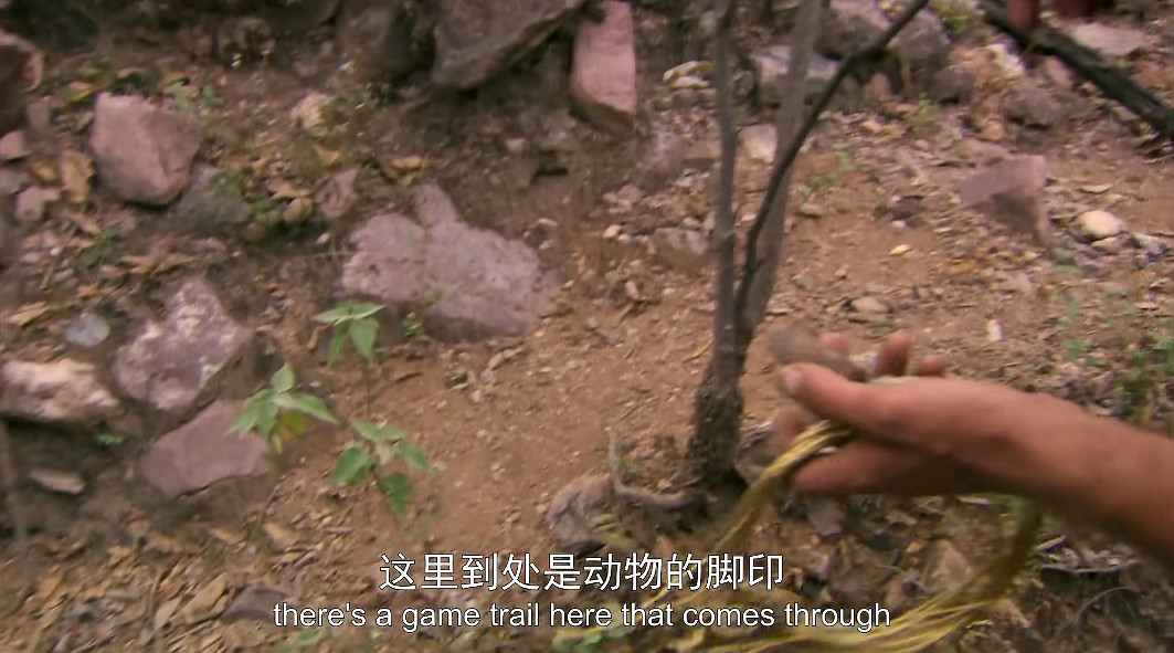 看高配版荒野求生,爽到停不下來怎麽辦 看高配版荒野求生,爽到停不下來怎麽辦