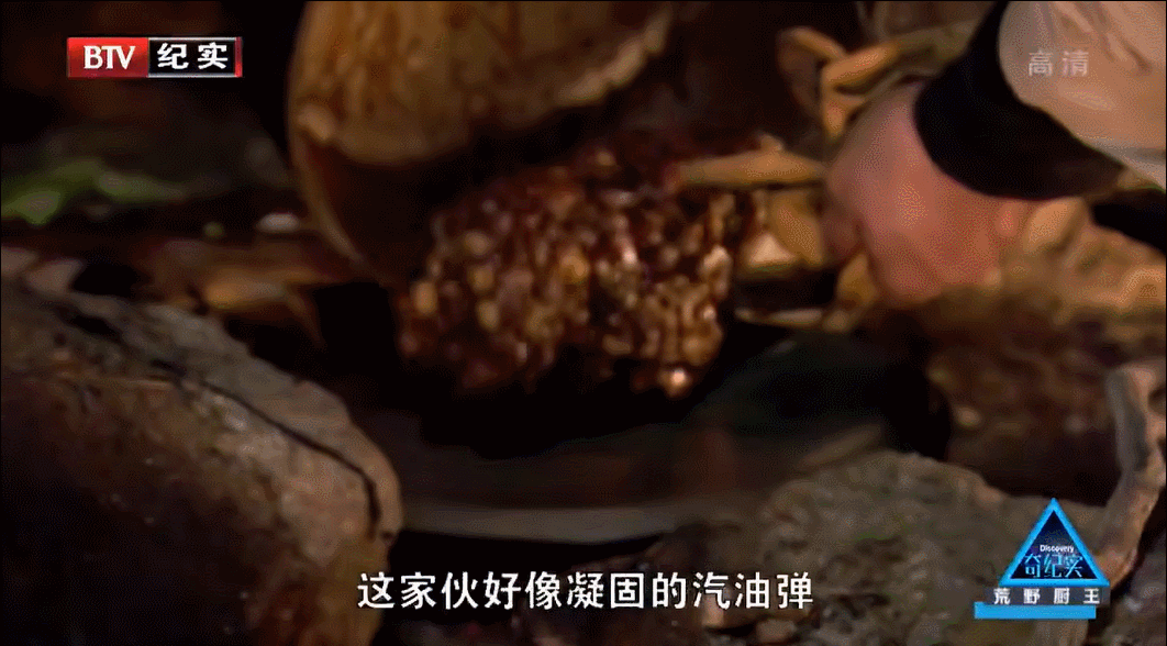 看高配版荒野求生,爽到停不下來怎麽辦 看高配版荒野求生,爽到停不下來怎麽辦