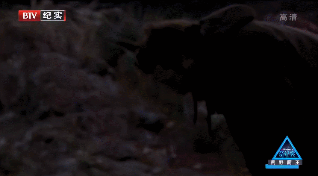 看高配版荒野求生,爽到停不下來怎麽辦 看高配版荒野求生,爽到停不下來怎麽辦