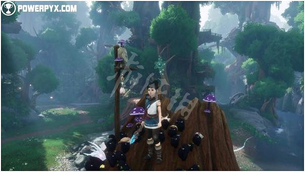 《凱那靈魂之橋》腐靈位置介紹 腐靈在哪收集