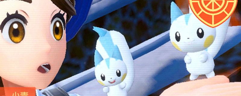 寶可夢：朱/紫製作個人簡介是什麽