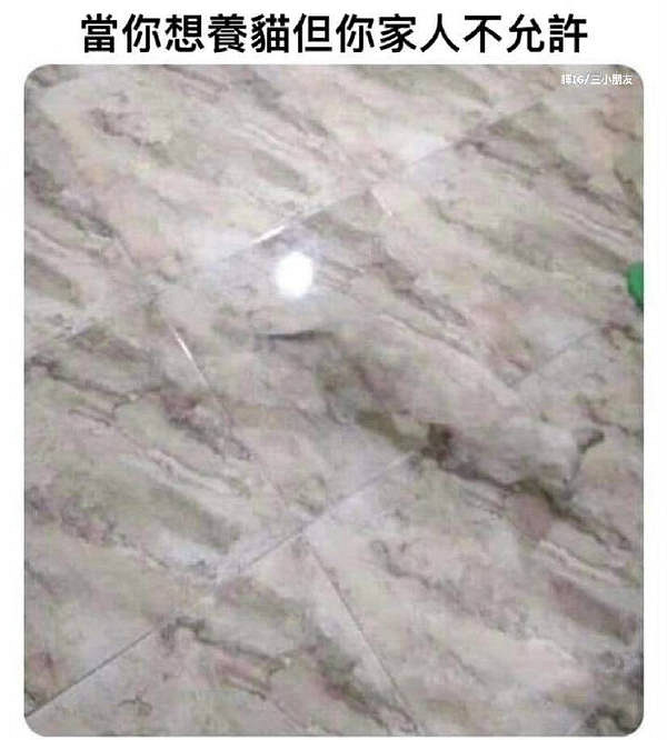 你這是武財神吧 囧圖 肯德基真不熟我是麥當勞的人了 你這是武財神吧 囧圖 肯德基真不熟我是麥當勞的人了