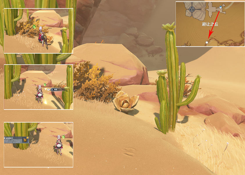 《原神》金薔薇的種子在哪?金薔薇的種子位置介紹 《原神》金薔薇的種子在哪?金薔薇的種子位置介紹