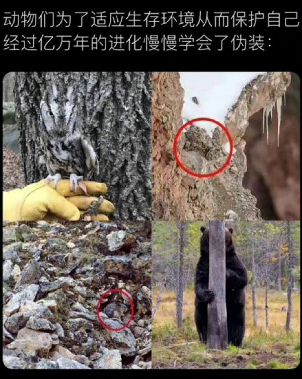 你這是武財神吧 囧圖 肯德基真不熟我是麥當勞的人了 你這是武財神吧 囧圖 肯德基真不熟我是麥當勞的人了
