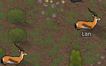 《邊緣世界》全動物資料圖鑒詳解 《邊緣世界》全動物資料圖鑒詳解