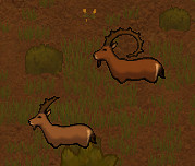 《邊緣世界》全動物資料圖鑒詳解