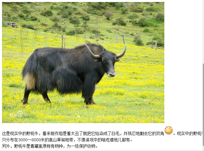 《邊緣世界》全動物資料圖鑒詳解