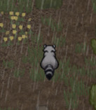 《邊緣世界》馴服+喂養動物詳細圖文教學