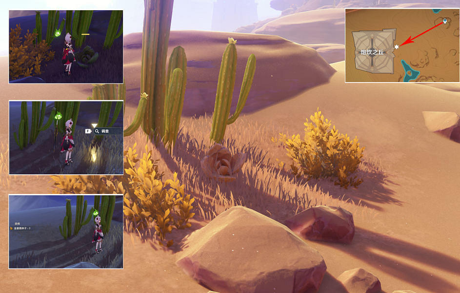 《原神》金薔薇的種子在哪?金薔薇的種子位置介紹 《原神》金薔薇的種子在哪?金薔薇的種子位置介紹