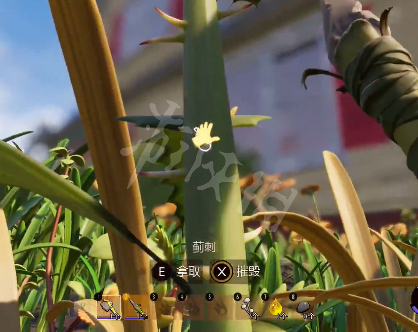 《微小世界生存戰》薊刺怎麽獲得?薊刺獲得位置介紹 《微小世界生存戰》薊刺怎麽獲得?薊刺獲得位置介紹