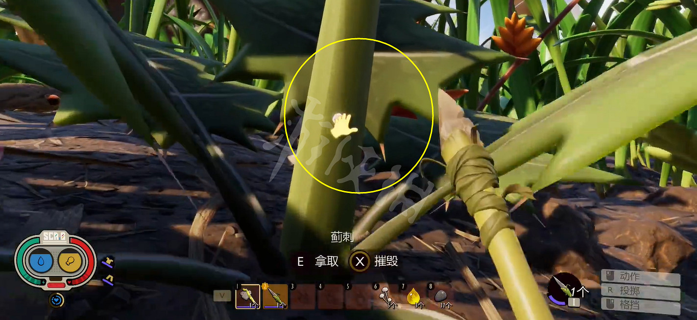 《微小世界生存戰》薊刺怎麽獲得?薊刺獲得位置介紹 《微小世界生存戰》薊刺怎麽獲得?薊刺獲得位置介紹