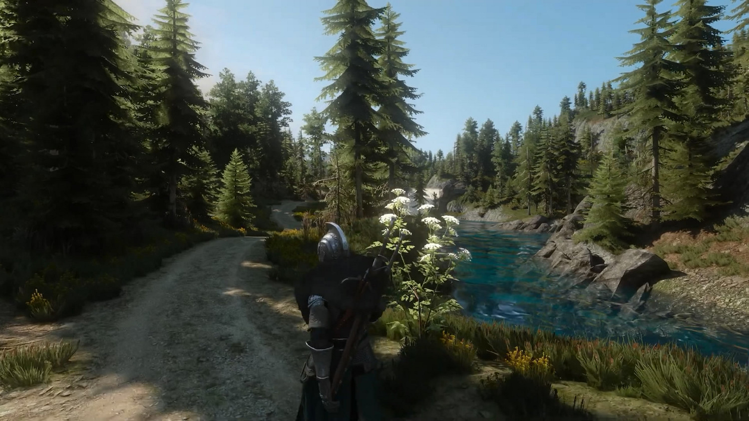 RTX4090《巫師3》狂打100多個MOD加光追 8K展示! RTX4090《巫師3》狂打100多個MOD加光追 8K展示!