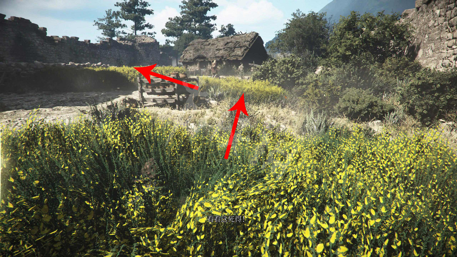 《瘟疫傳說:安魂曲》圖文攻略 全流程全收集全加點全道具全解謎 《瘟疫傳說:安魂曲》圖文攻略 全流程全收集全加點全道具全解謎