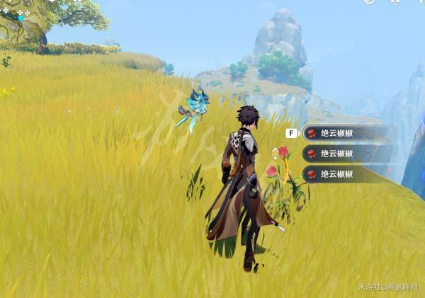 《原神》絕雲椒椒位置大全 絕雲椒椒收集路線2022 《原神》絕雲椒椒位置大全 絕雲椒椒收集路線2022