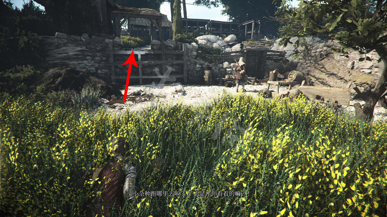 《瘟疫傳說:安魂曲》圖文攻略 全流程全收集全加點全道具全解謎 《瘟疫傳說:安魂曲》圖文攻略 全流程全收集全加點全道具全解謎