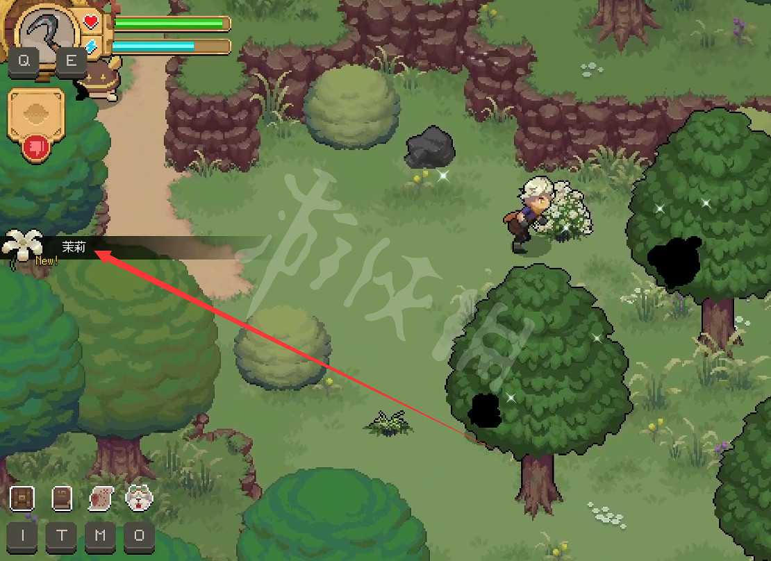 《杏林物語》茉莉怎麽獲得?茉莉獲得方法介紹 《杏林物語》茉莉怎麽獲得?茉莉獲得方法介紹