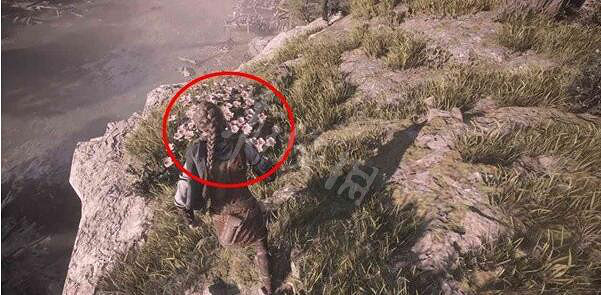 《瘟疫傳說安魂曲》物品大全 全收集攻略 《瘟疫傳說安魂曲》物品大全 全收集攻略