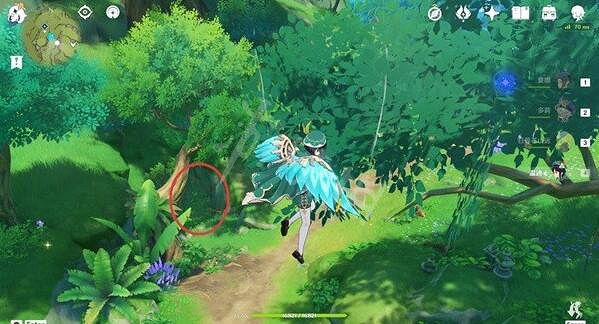 《原神》童夢的切片下面的藤蔓怎麽開?童夢的切片藤蔓解法介紹 《原神》童夢的切片下面的藤蔓怎麽開?童夢的切片藤蔓解法介紹