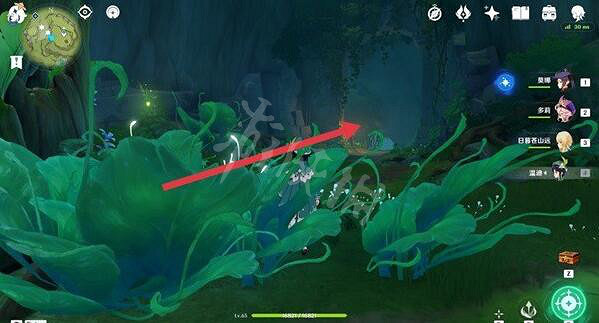 《原神》童夢的切片下面的藤蔓怎麽開?童夢的切片藤蔓解法介紹 《原神》童夢的切片下面的藤蔓怎麽開?童夢的切片藤蔓解法介紹